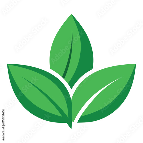 green leaf icon