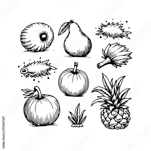 Hand drawn orchard fresh fruit medley arrangement featuring vintage botanical illustration style