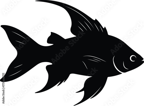 Vector silhouette of angelfish swimming in black and white illustration