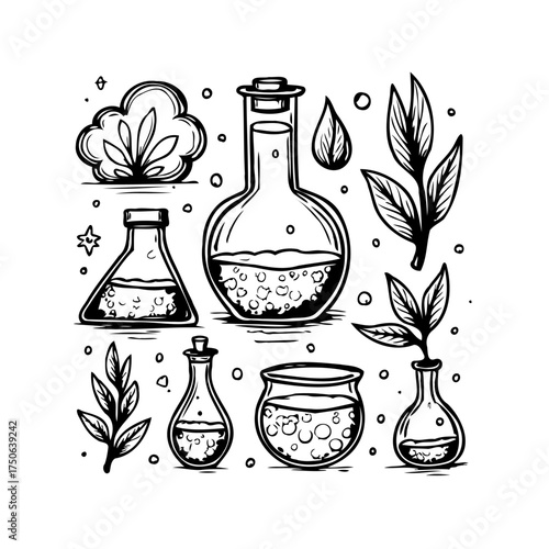 Illustrative botanical laboratory setup showcasing various glassware filled with natural organic