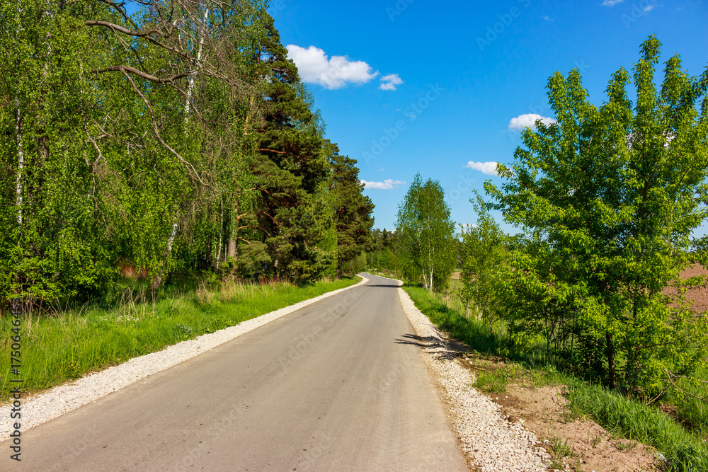 Fototapeta premium Winding asphalt road cuts through a vibrant green forest under a brilliant blue sky, offering a picturesque journey into the heart of nature