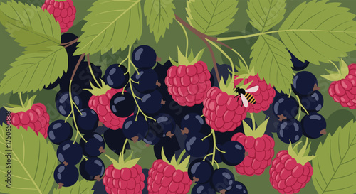 A close up of blackcurrants and raspberries on a branch with a bee.