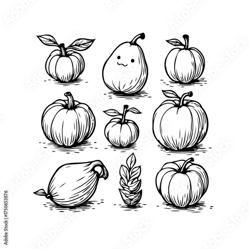 Whimsical Ink Drawings of Autumnal Produce Featuring Pumpkins Pears and Twigs Conveying a Hand