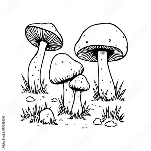 Whimsical mushroom patch illustration, a delightful group of toadstools nestled in the grass,