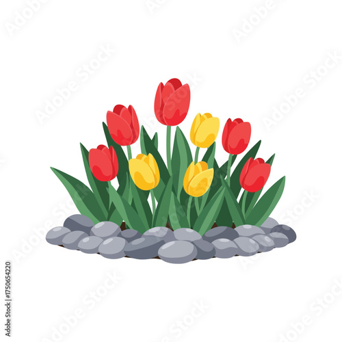 Vibrant spring tulips flowerbed with smooth river rocks garden decor vector