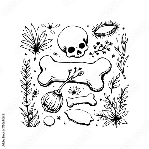 Whimsical skeleton and plant doodles create a vintage inspired monochrome composition for