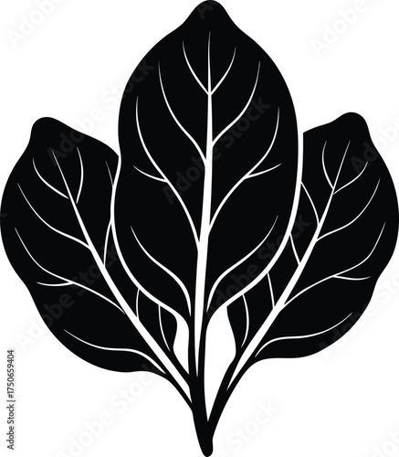 Dramatic lighting on abstract textures creating a moody and intense visual experience isolated on transparent background