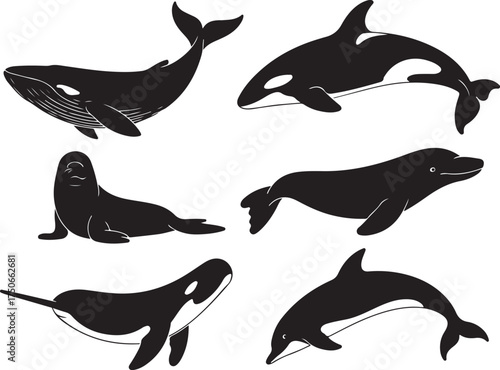 Marine mammals swim gracefully in deep ocean waters