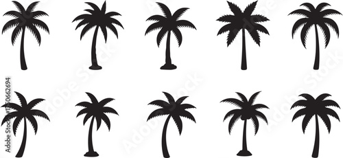 Collection of Black Palm Tree Silhouettes on White Background