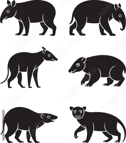 Diverse tapir species silhouettes for educational use