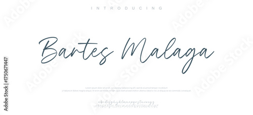 Hand drawn vector alphabet. Modern monoline signature script font. Elegant Signature Font. Best Alphabet Beautiful Calligraphy Signature Font lettering handwritten