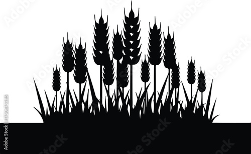 Vector silhouette wheat field crop grass illustration