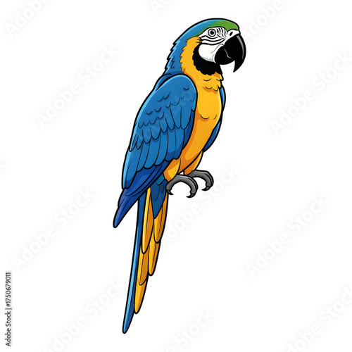 Wallpaper Mural Vibrant Blue and Gold Macaw Perched Parrot Illustration for Travel, Nature, and Wildlife Projects Stock Torontodigital.ca