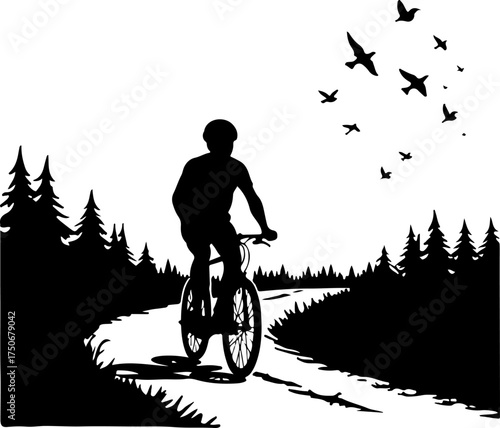 silhouette of a man riding a bicycle