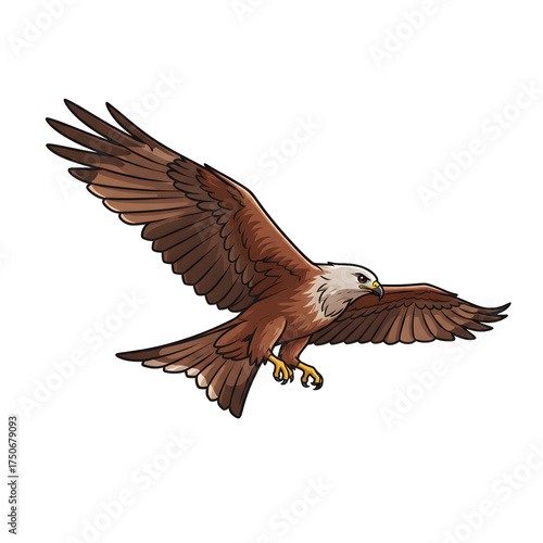Wallpaper Mural Brown Eagle in Flight With Outstretched Wings, Power and Focus for Wildlife and Nature Themes Torontodigital.ca