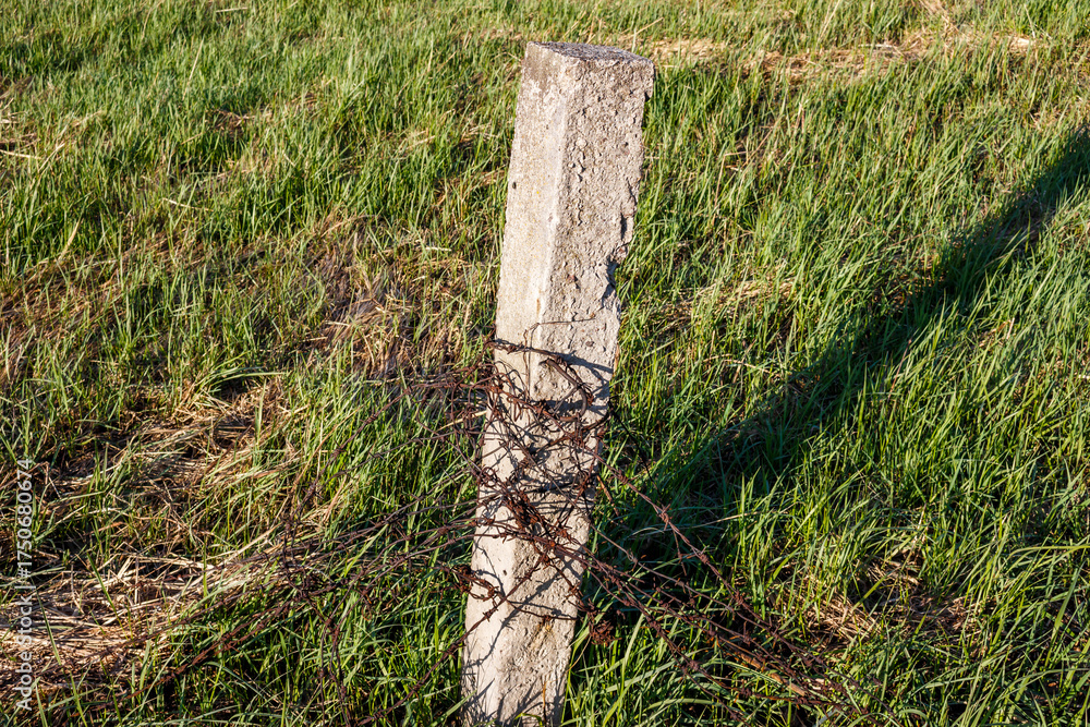 Fototapeta premium Old concrete fence post wrapped with rusty barbed wire in a green grassy field on a sunny day