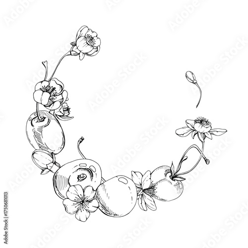 Sweet sour line cherry with white spring flowers buds, hand drawn vector ink, cerise berry in clusters on stems. Circle wreath frame illustration. Restaurant, cafe menu, wedding, farmers market