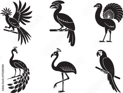 Exotic bird silhouettes for vibrant, natural designs