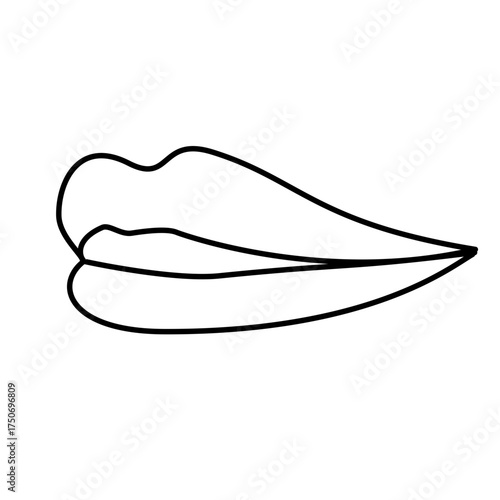 Lip lines of various shapes