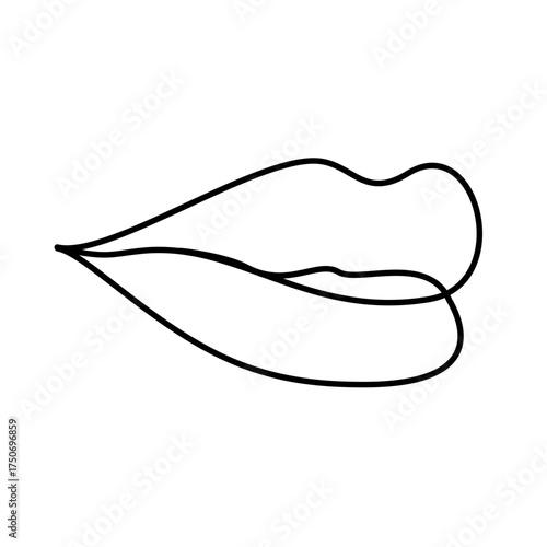 Lip lines of various shapes