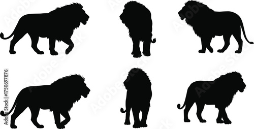 Lion silhouette collection, wild animal vector, majestic predator artwork, safari wildlife illustration, jungle king design, African big cat graphic