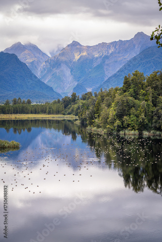 beautiful nature walking tract people can see big trees ,frens ,moss ,reflection lake ,group of duck, animals , colorful mushroom   and fox glacier view at lake Matheson South Island New Zealand 
