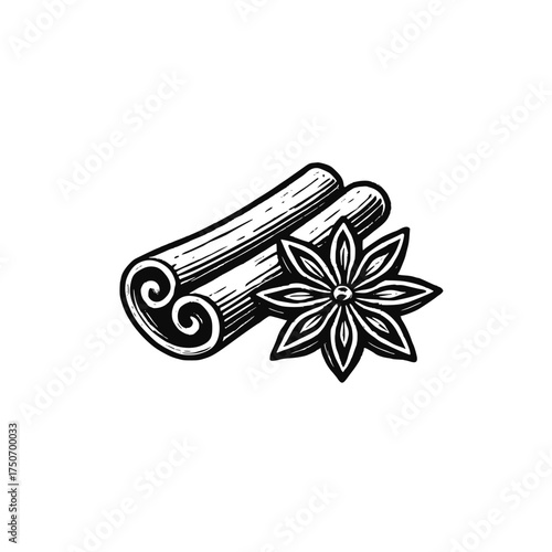 Cinnamon sticks and anise vector