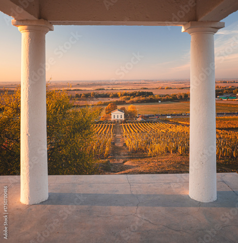 Autumn Vineyard Landscape in Tokaj Wine Region, Hungary