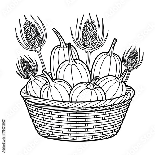 Teasel gourds illustration of a coloring book