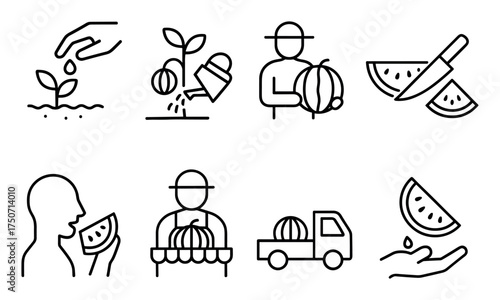 Melon Crop Icons