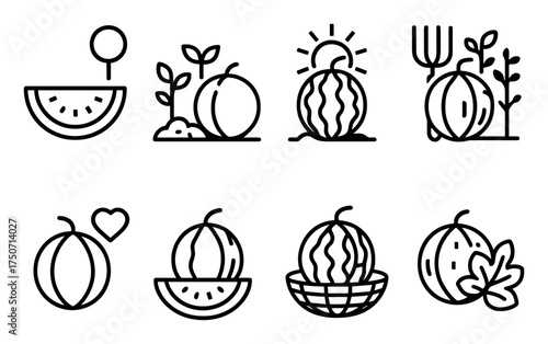 Melon Icon Set