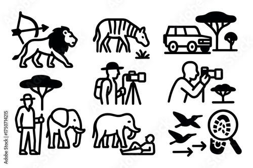 Savannah Activity Icons