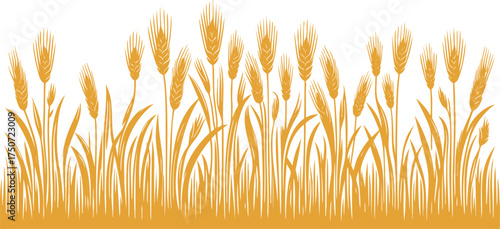 Colorful Barley field horizontal landscape border element vector illustration isolated on a white background