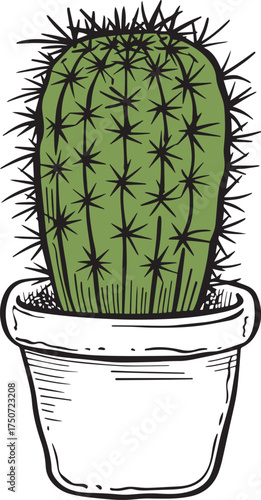 cactus vector