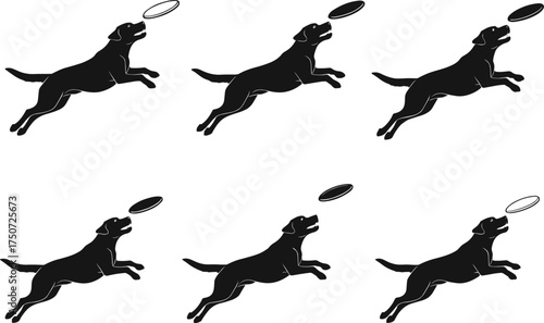 Dog silhouettes leaping to catch frisbee, black vector illustration showing motion, agility, playfulness, pet activity and outdoor sport design themes