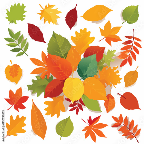 Colorful autumn leaves scattered together