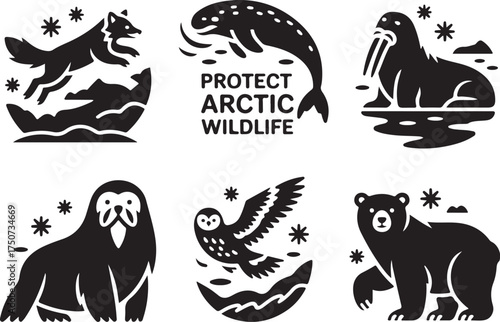 Protect Arctic Wildlife Set