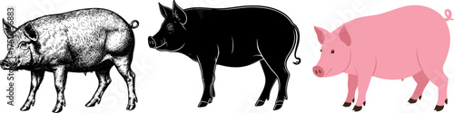 Pig 3 styles vector