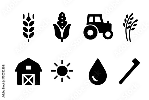 Crop Production Icons. Crop Production. Filled icon set of Crop Production: wheat stalk, corn, rice bundle,