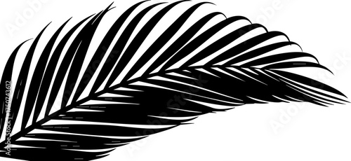 Tableau sur toile Elegant black palm leaf silhouette creating a tropical vibe for modern design pr