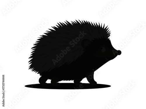 hedgehog on white background