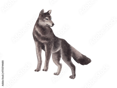 Wolf silhouette icon vector illustration