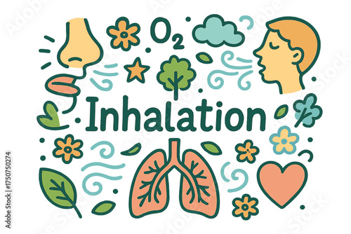 Inhalation Doodle Art. Inhalation. Hand-drawn doodle illustration of Inhalation. nose, mouth, lungs, diaphragm