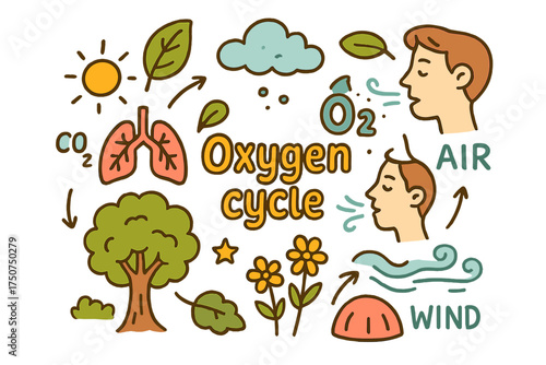 Colorful Oxygen Cycle Doodle. Oxygen cycle. Hand-drawn doodle illustration of Oxygen cycle. tree, leaf, sun,