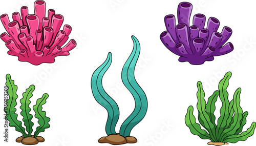 Colorful coral and seaweed illustrations on a black background for marine life designs