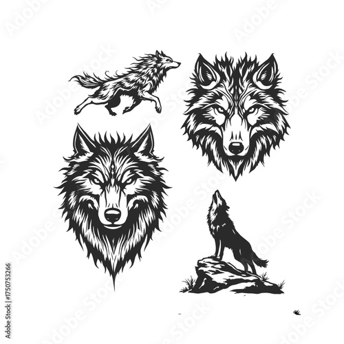 Black and white illustration set of four wolves in varied poses running, howling, and two frontal portraits emphasizing wild elegance