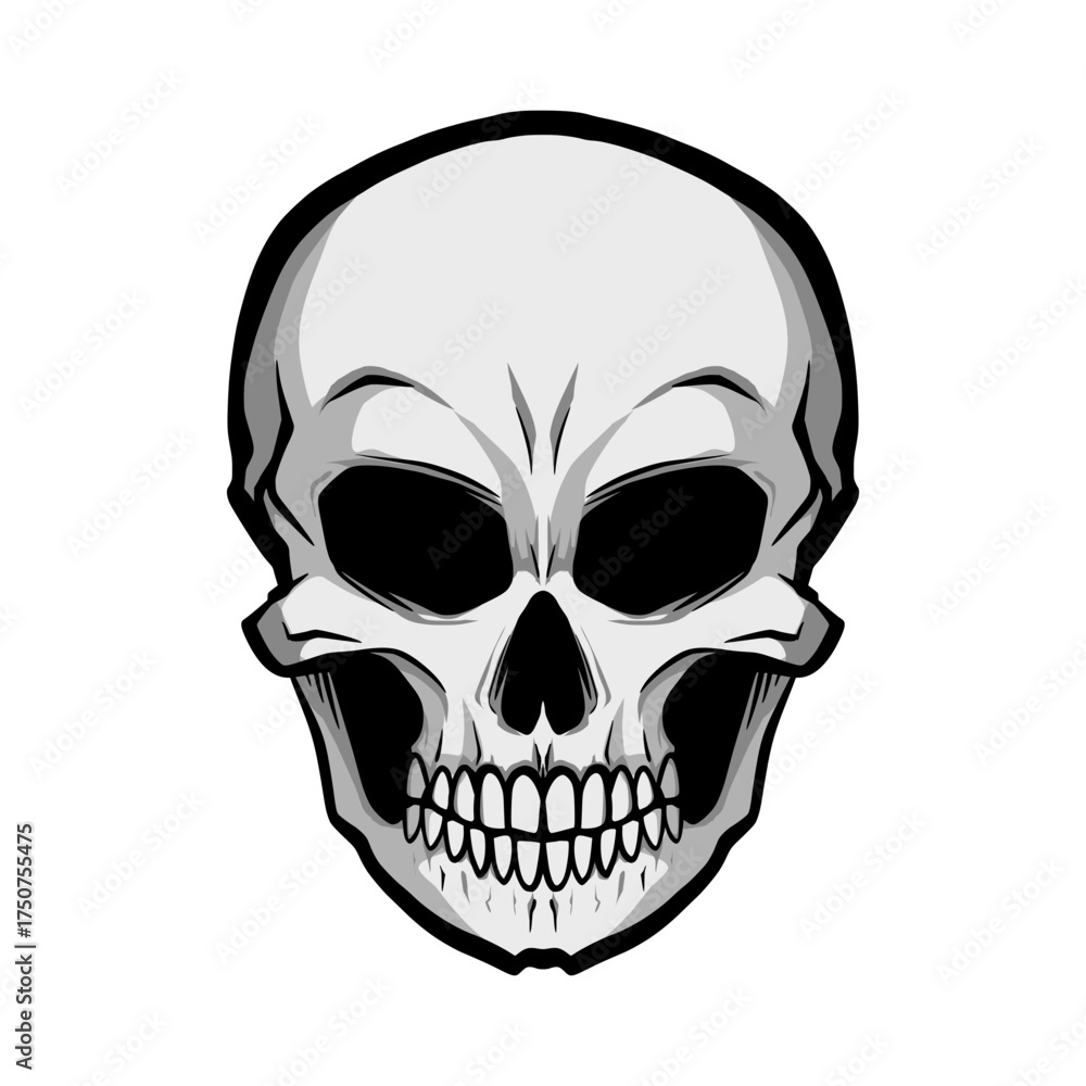 Fototapeta premium skull vector illustration, Halloween illustration