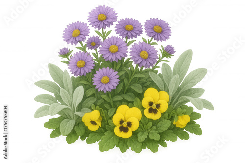Purple aster and yellow pansy flowers arrangement with green leaves, transparent background