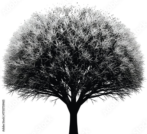 Detailed Bare Tree Silhouette with Dense Branches - Monochrome Nature Study
