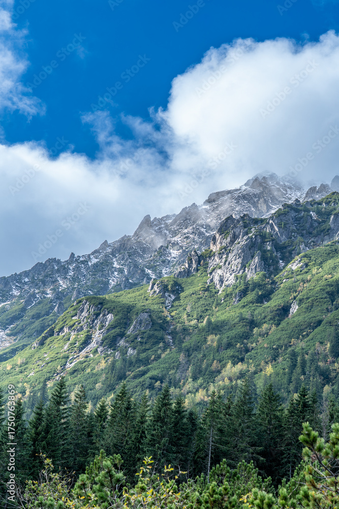 Obraz premium Vertical View: Lush Pine Forest and Rocky Tatra Mountain Ridge under Blue Sky, Poland